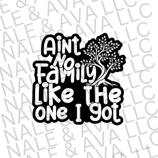 Ain't No Family Like the One I Got Screen Print Transfer front side